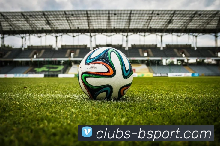 B体育官网服务体系